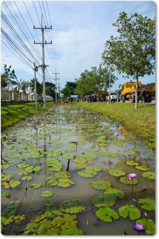 คลองสวยน้ำใส